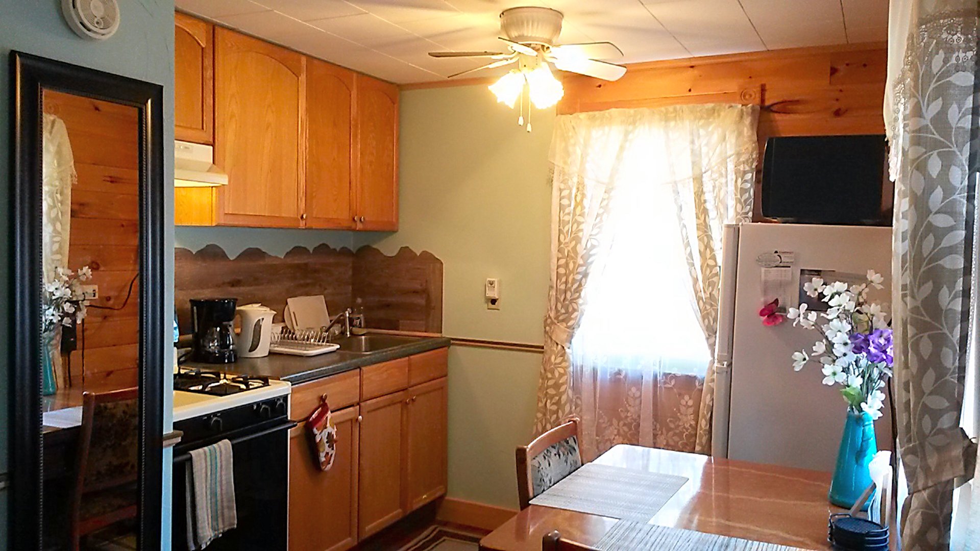 Electric Wood Stove
